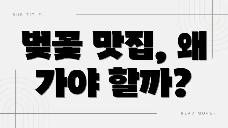 벚꽃 맛집, 왜 가야 할까?