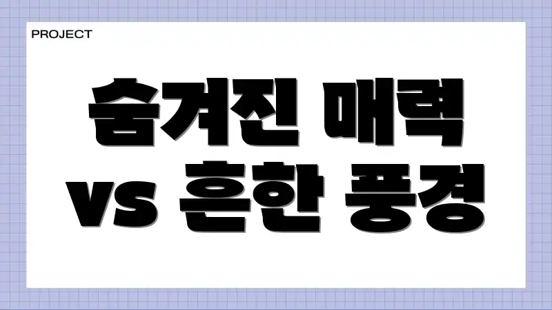 숨겨진 매력 vs 흔한 풍경