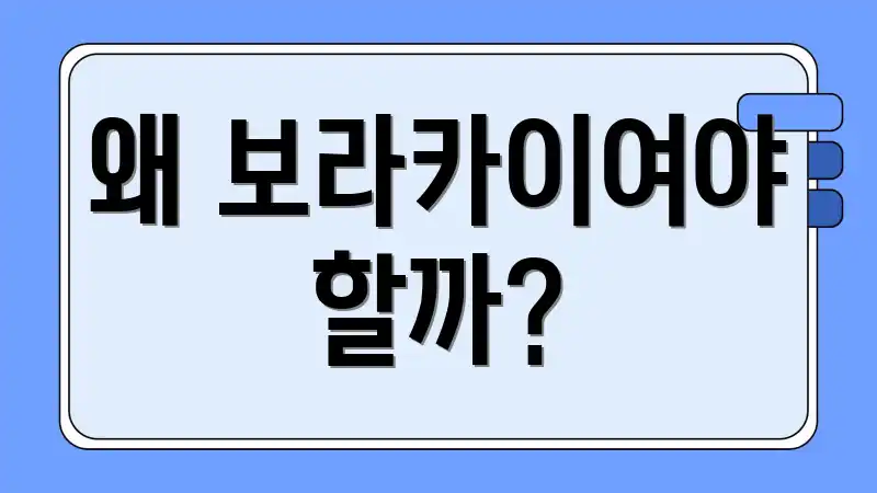 왜 보라카이여야 할까?