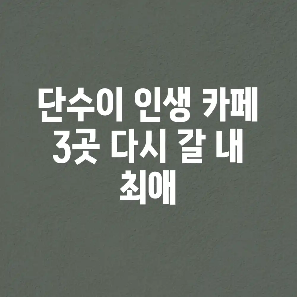 단수이 인생 카페 3곳, 다시 갈 내 최애!