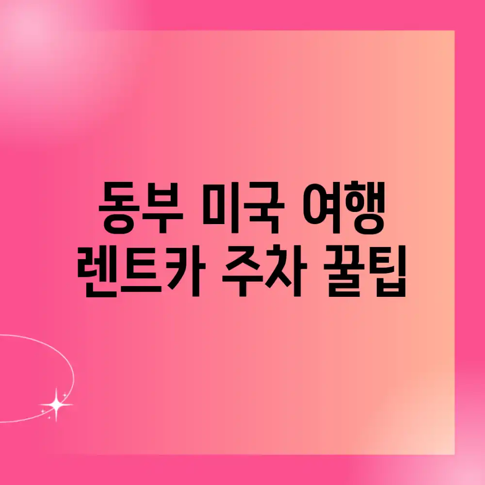 동부 미국 여행, 렌트카 주차 꿀팁!