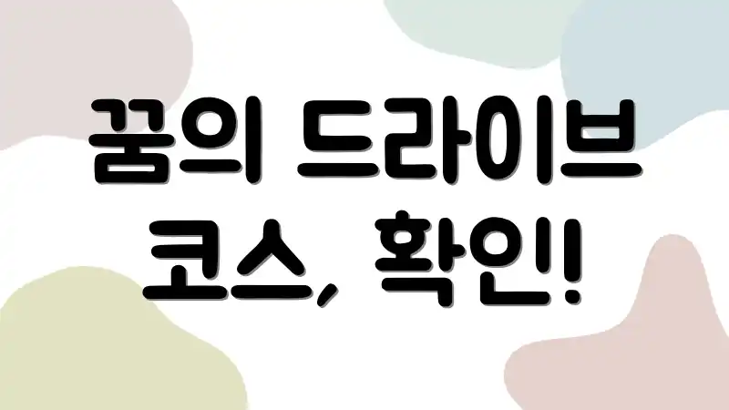 꿈의 드라이브 코스, 확인!