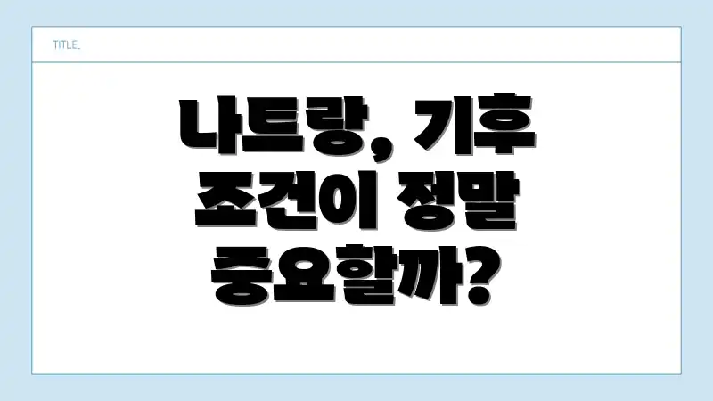 나트랑, 기후 조건이 정말 중요할까?