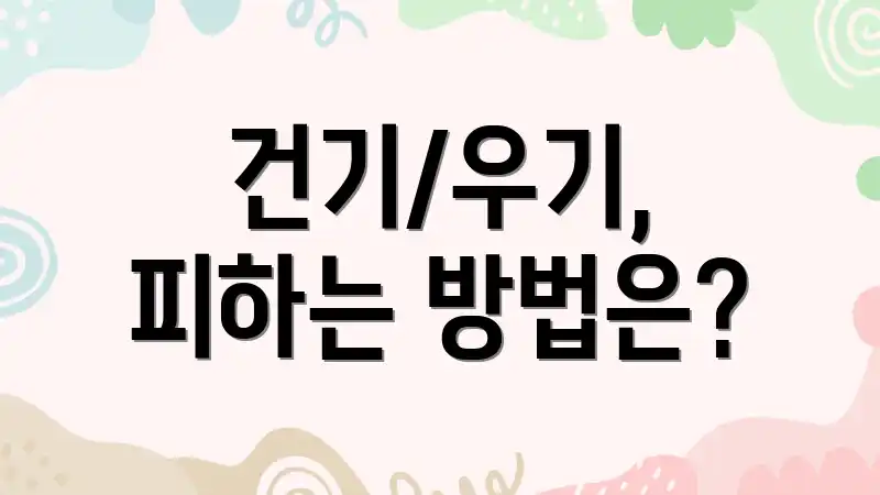 건기/우기, 피하는 방법은?