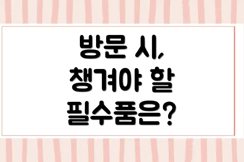 방문 시, 챙겨야 할 필수품은?