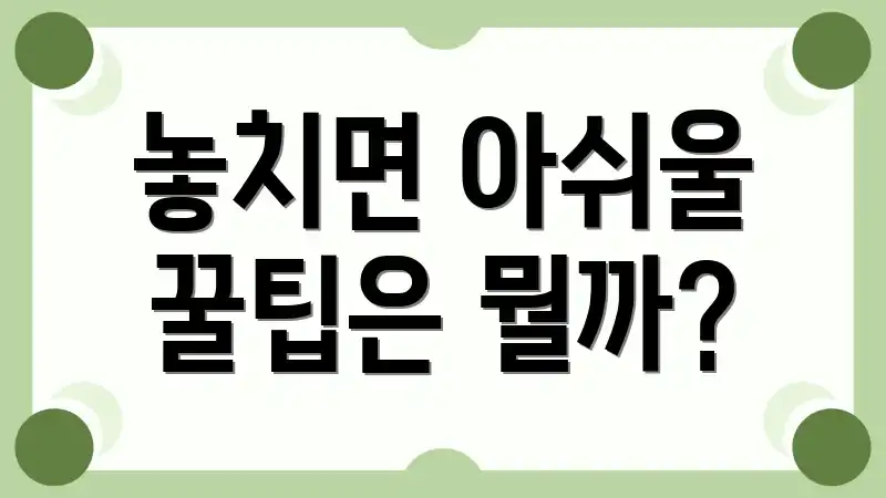놓치면 아쉬울 꿀팁은 뭘까?