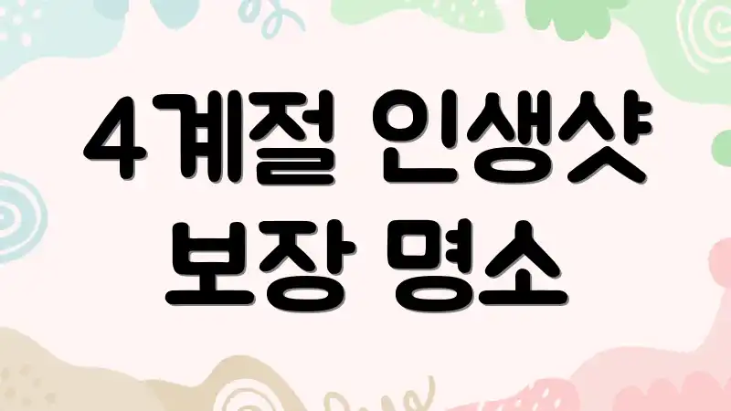 4계절 인생샷 보장 명소
