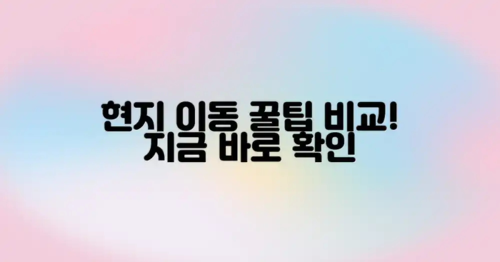 현지 이동 방식 비교